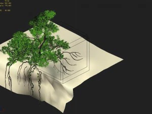 mountain hengshan - dry tree 01 3D Model