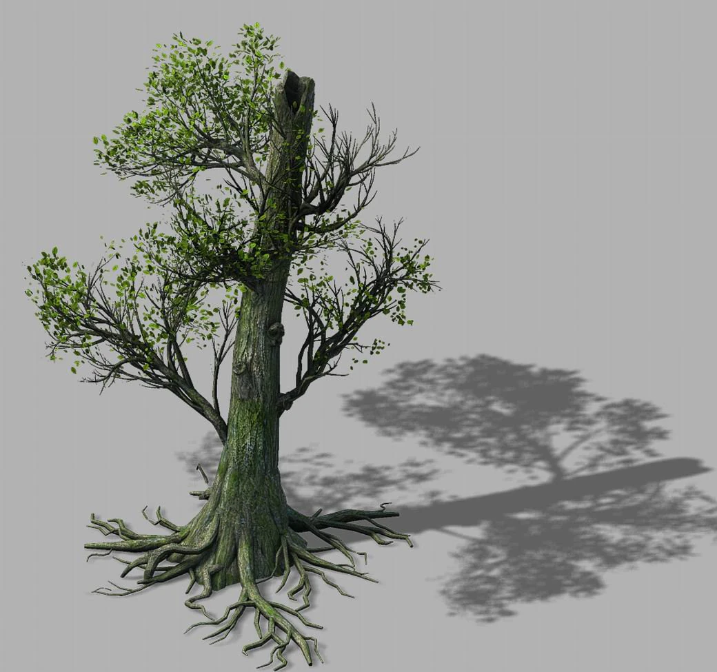 mountain hengshan - tree 01 3D Model .c4d .max .obj .3ds .fbx .stl .blend 