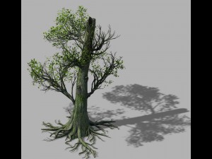 mountain hengshan - tree 01 3D Model
