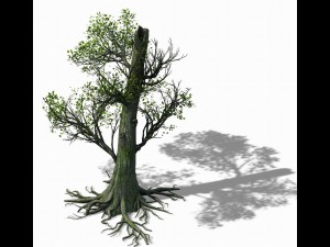 mountain hengshan - tree 01 3D Model