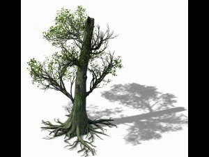 mountain hengshan - tree 01 3D Model