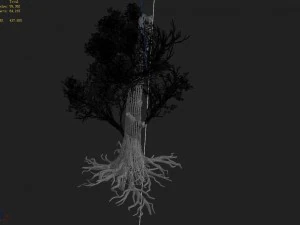 mountain hengshan - tree 01 3D Model