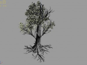 mountain hengshan - tree 01 3D Model