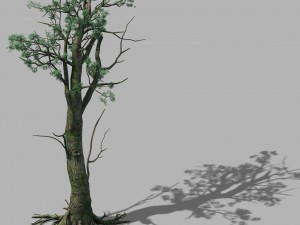 mountain hengshan - tree 02 3Dモデル