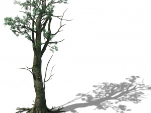 mountain hengshan - tree 02 3Dモデル