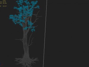 mountain hengshan - tree 02 3Dモデル