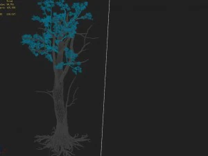 mountain hengshan - tree 02 3D Model