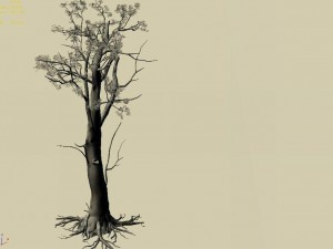 mountain hengshan - tree 02 3Dモデル