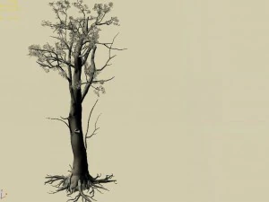 mountain hengshan - tree 02 3D Model