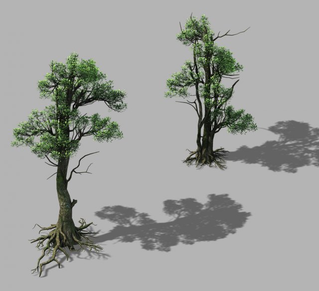 hengshan mountain - tree 03 3D Model .c4d .max .obj .3ds .fbx .stl .blend 