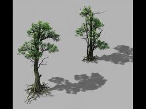 hengshan mountain - tree 03 3D-Modell