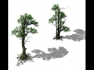 hengshan mountain - tree 03 3D Model
