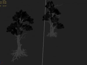 hengshan mountain - tree 03 3D Model