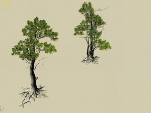hengshan mountain - tree 03 3D Model