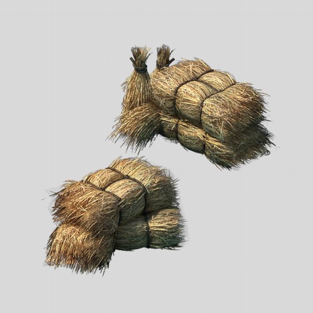 crop - straw 3D Model .c4d .max .obj .3ds .fbx .stl .blend 