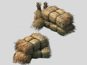 crop - straw 3D Model
