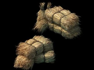 crop - straw 3D Model