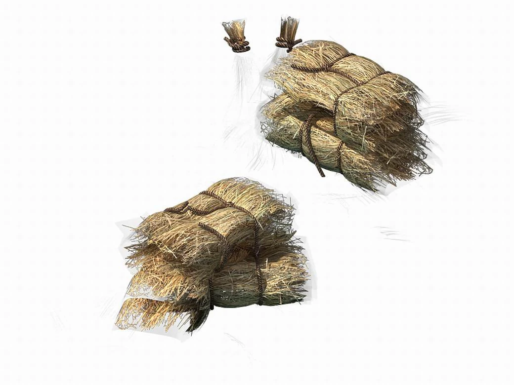 crop - straw -01 3D Model .c4d .max .obj .3ds .fbx .stl .blend 