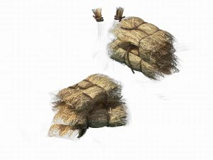cultivo - paja -01 Modelo 3D