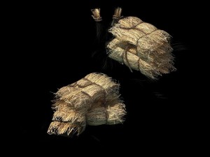 crop - straw -01 3D Model