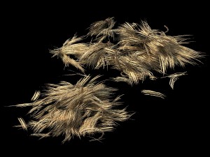 crop - straw-03 3D Model