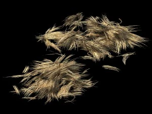 crop - straw-03 3D Model