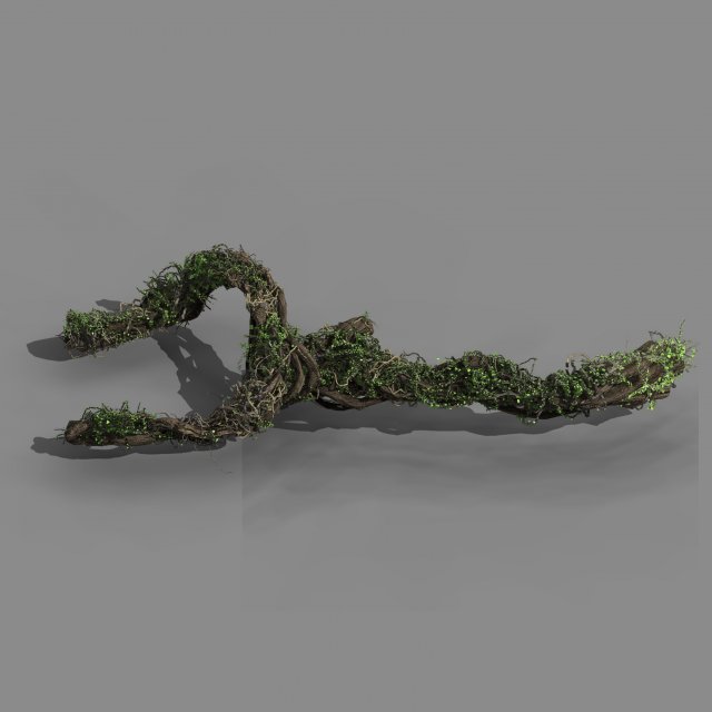 qingyun mountain - the trunk vine 01 Modèle 3D .c4d .max .obj .3ds .fbx .stl .blend 