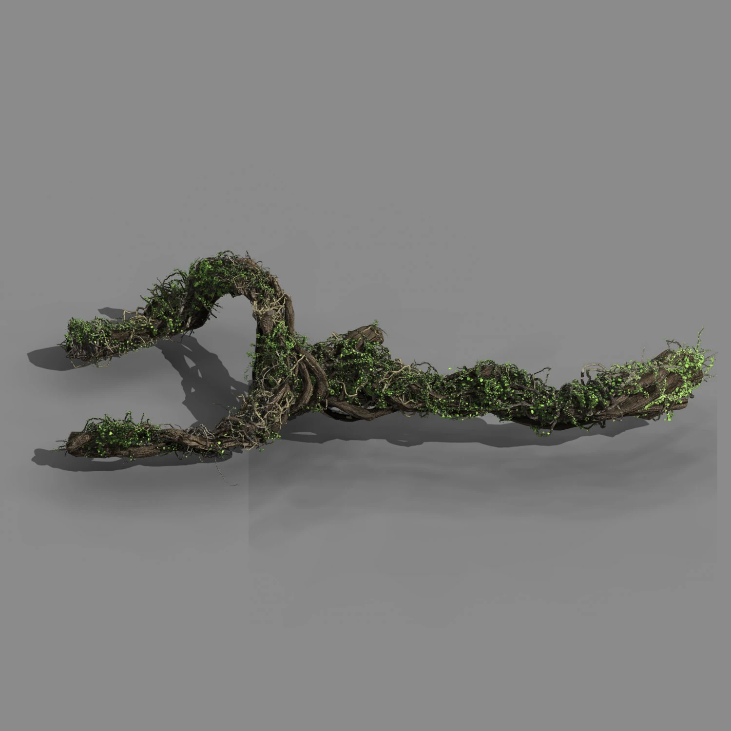 qingyun mountain - the trunk vine 01 3D Model .c4d .max .obj .3ds .fbx .stl .blend 