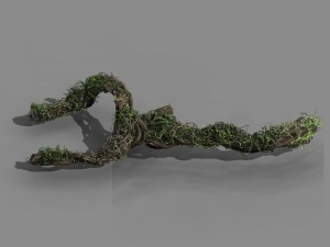 qingyun mountain - the trunk vine 01 3D Model