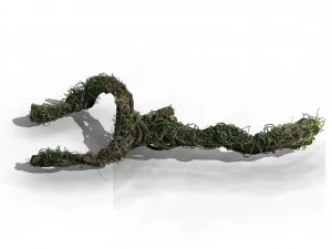 qingyun mountain - the trunk vine 01 3D Model