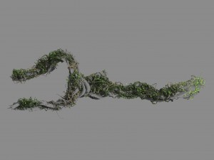 qingyun mountain - the trunk vine 01 Modèle 3D
