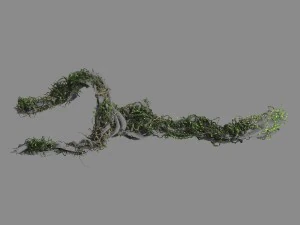 qingyun mountain - the trunk vine 01 3D Model