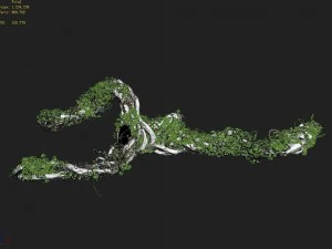 qingyun mountain - the trunk vine 01 3D Model