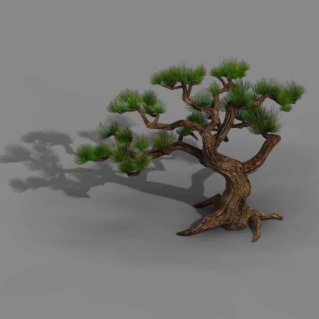 qingyun mountain - pine -01 3D मॉडल .c4d .max .obj .3ds .fbx .stl .blend 