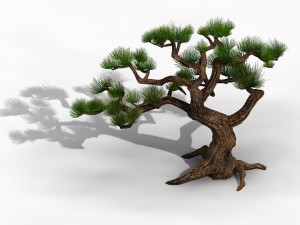 qingyun mountain - pine -01 3D मॉडल