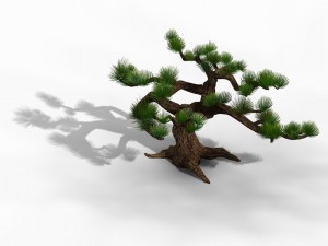 qingyun mountain - pine -01 3D मॉडल