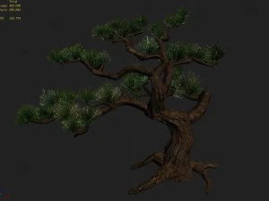 qingyun mountain - pine -01 3D Model