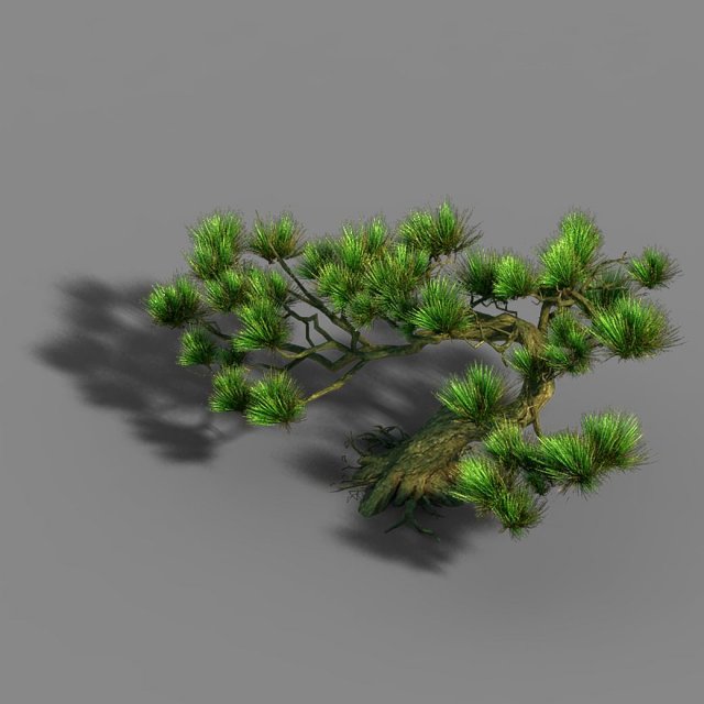 qingyun mountain - pine 603 3D 模型 .c4d .max .obj .3ds .fbx .stl .blend