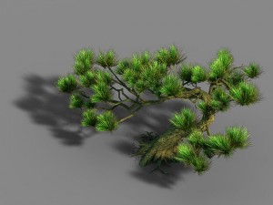 qingyun mountain - pine 603 3D-Modell