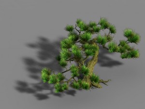 qingyun mountain - pine 603 3D 模型