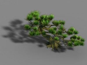 qingyun mountain - pine 603 3D 模型