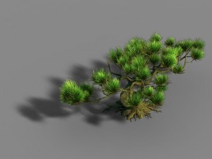 qingyun mountain - pine 603 3D 模型
