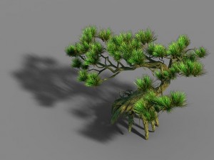 qingyun mountain - pine 603 3D 模型