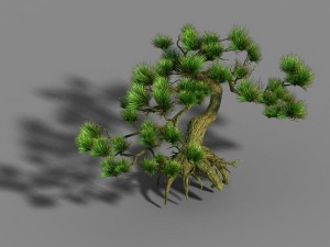 qingyun mountain - pine 603 3D 模型