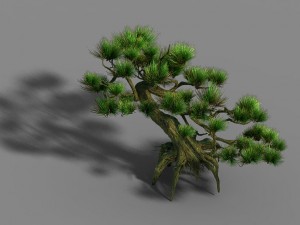 qingyun mountain - pine 603 3D 模型