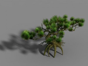 qingyun mountain - pine 603 3D 模型