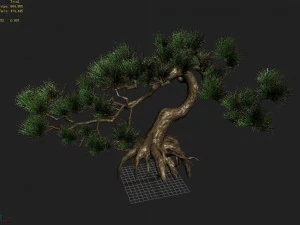 qingyun mountain - pine 603 3D Model