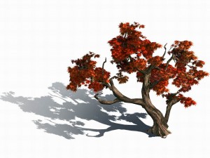 forest - maple 9901 3D Модель