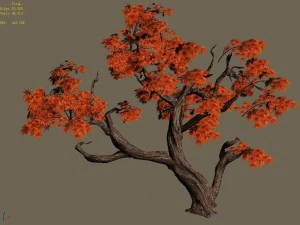 forest - maple 9901 3D Model