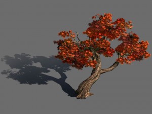 forest - maple 9903 3D Model